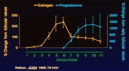 Estrogen and progesterone across the menstrual cycle